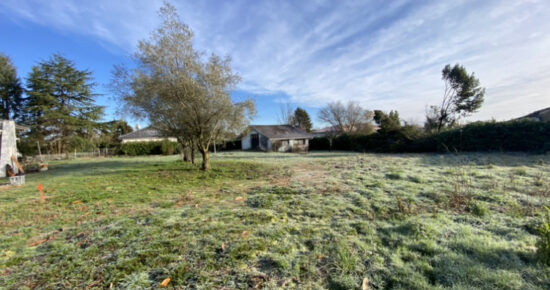 Terrain constructible Cadillac-en-fronsadais (Gironde 33)