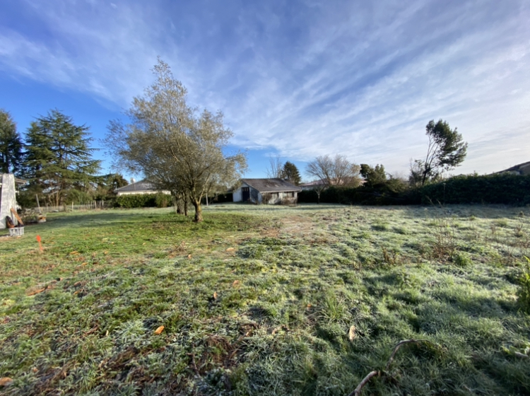 Terrain constructible Cadillac-en-fronsadais (Gironde 33)