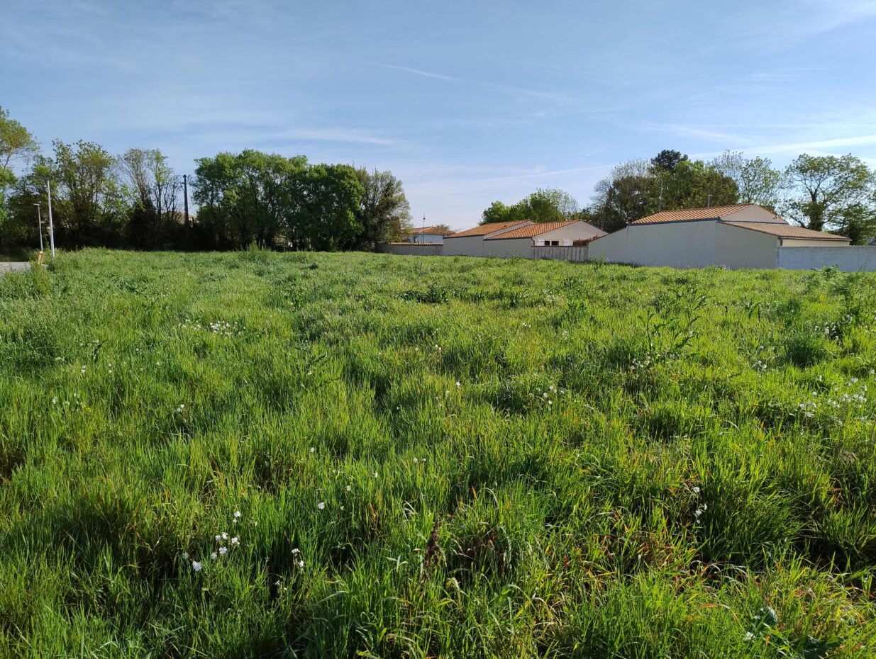 Terrain constructible Salles-sur-mer  (Charente-Maritime 17)