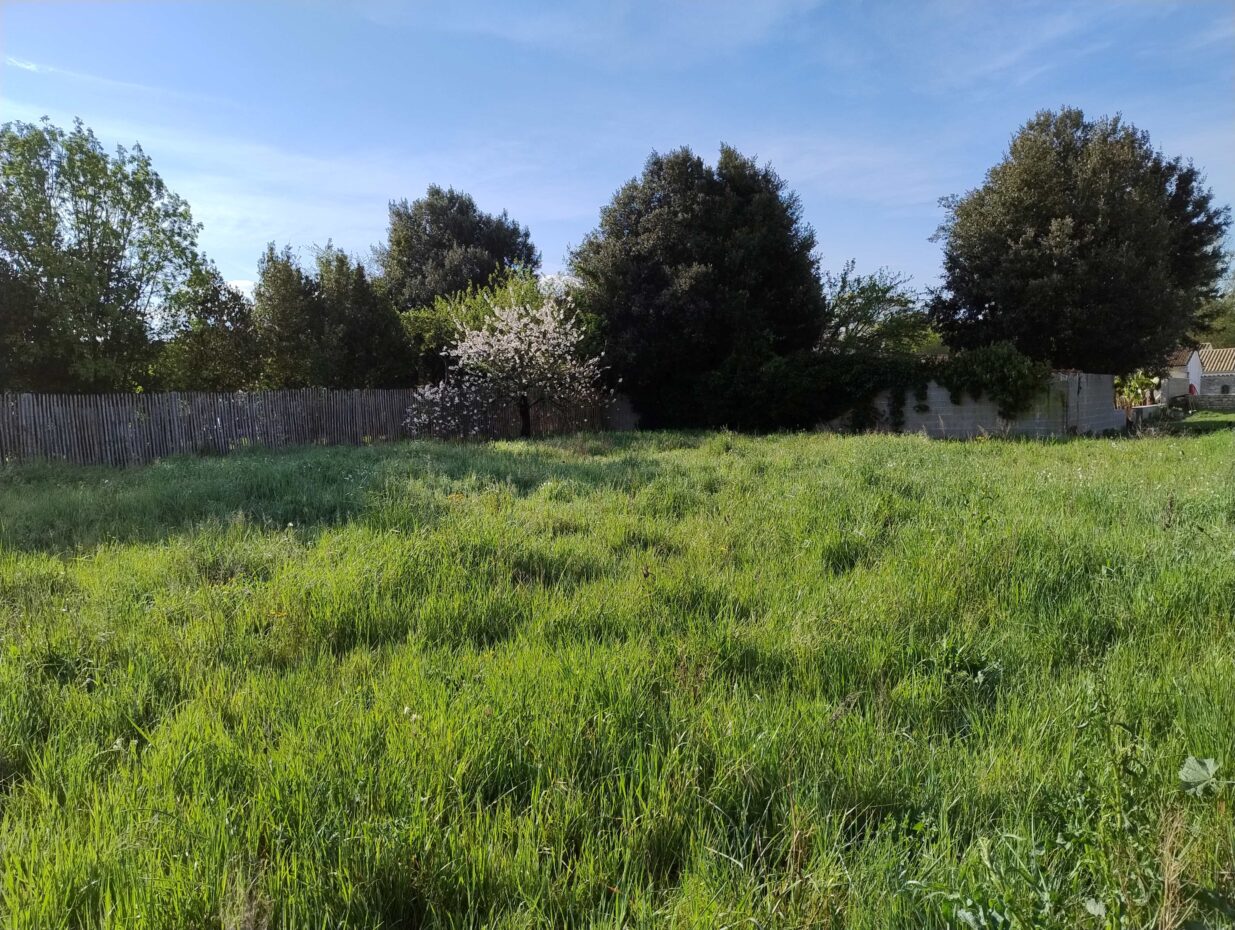 Terrain constructible Salles-sur-mer  (Charente-Maritime 17)
