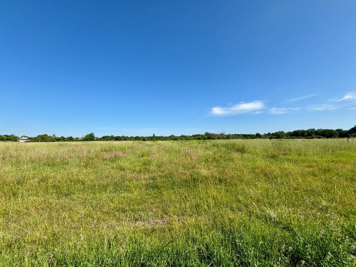 Terrain constructible Chamouillac (Charente-Maritime 17)