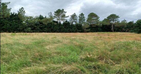Terrain constructible La lande-de-fronsac (Gironde 33)