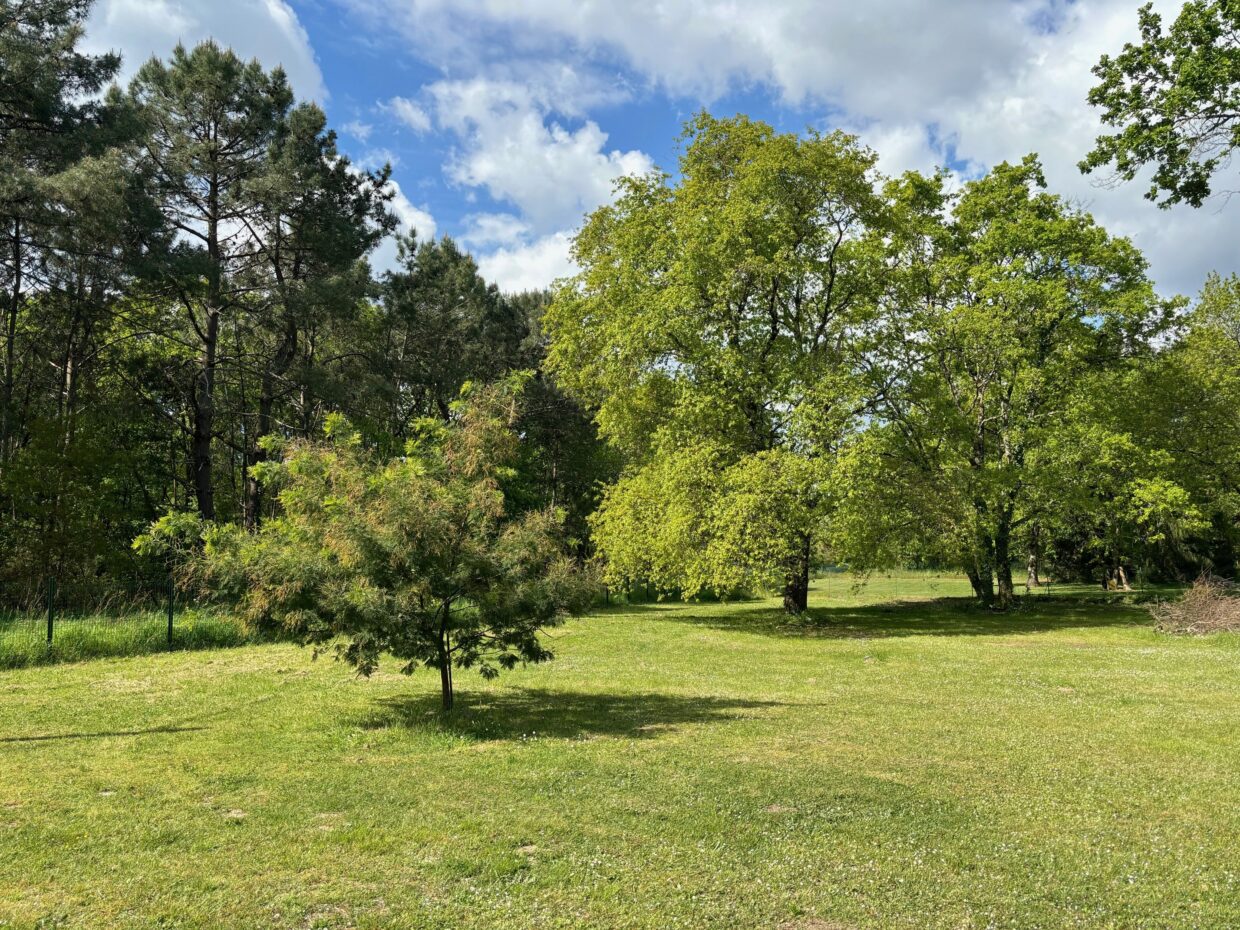 Terrain constructible Berson (Gironde 33)