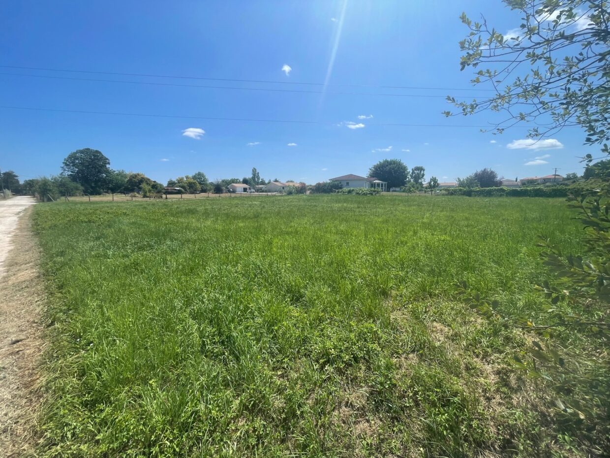 Terrain constructible Berson  (Gironde 33)