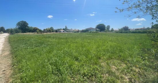 Terrain constructible Berson (Gironde 33)