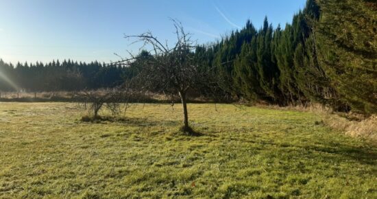 Terrain constructible Le bouscat (Gironde 33)