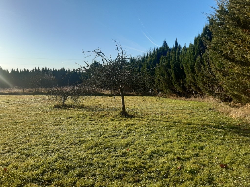 Terrain constructible Le bouscat (Gironde 33)