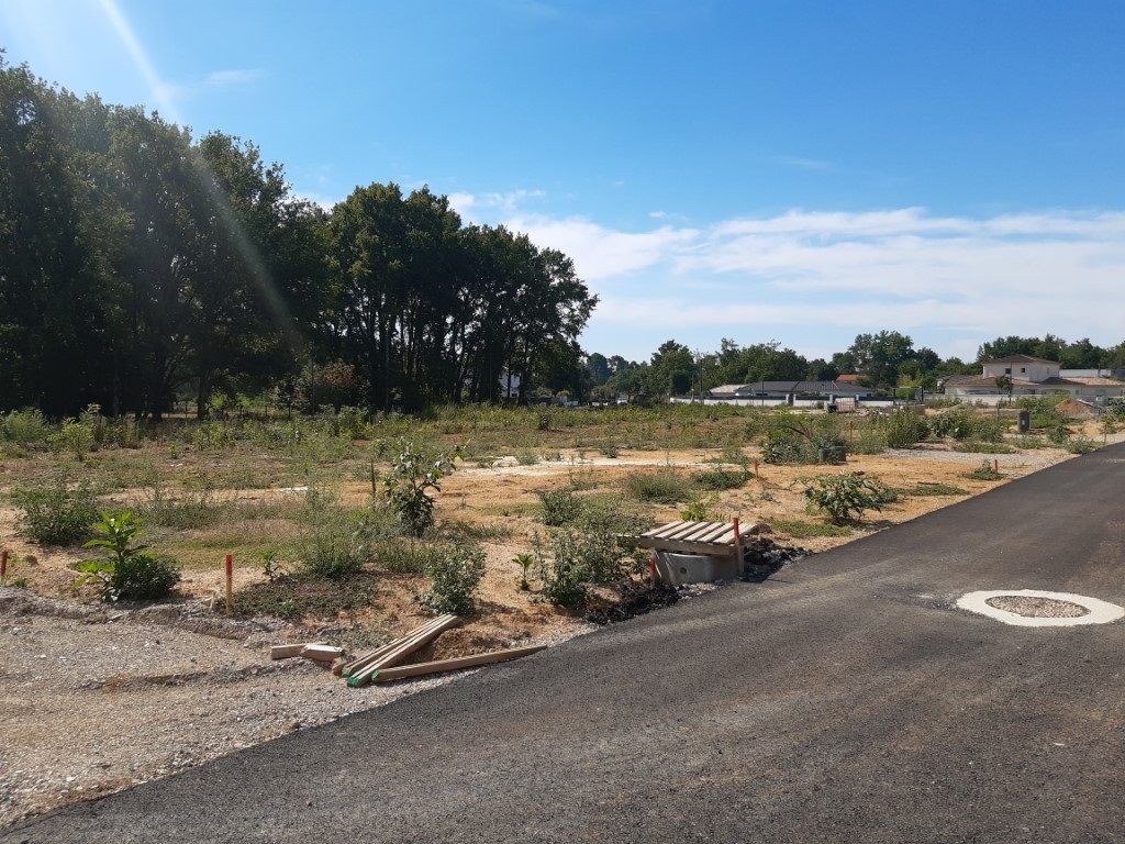 Terrain constructible Cadillac-en-fronsadais (Gironde 33)