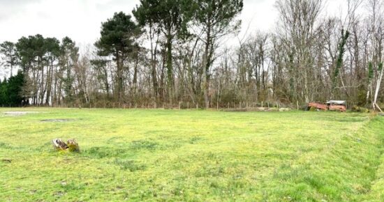 Terrain constructible Bourg (Gironde 33)