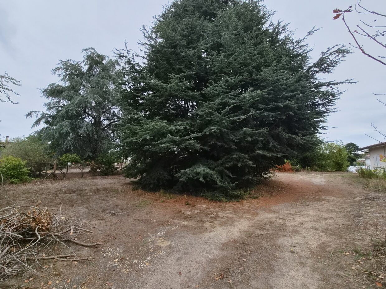 Terrain constructible Illats (Gironde 33)