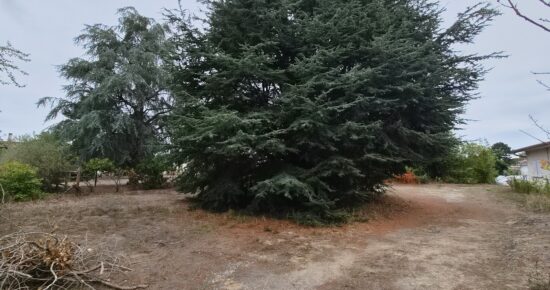 Terrain constructible Illats (Gironde 33)