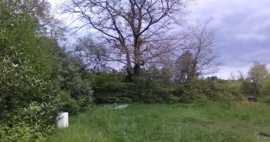 Terrain constructible Pessac (Gironde 33)