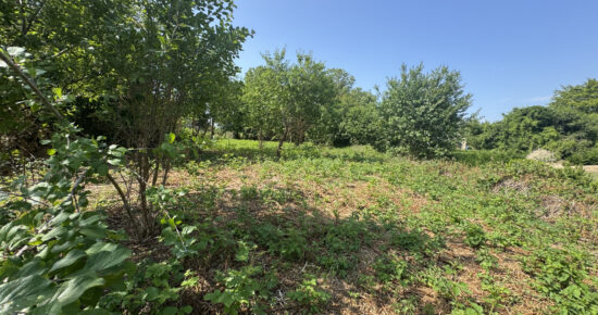 Terrain constructible Talence (Gironde 33)