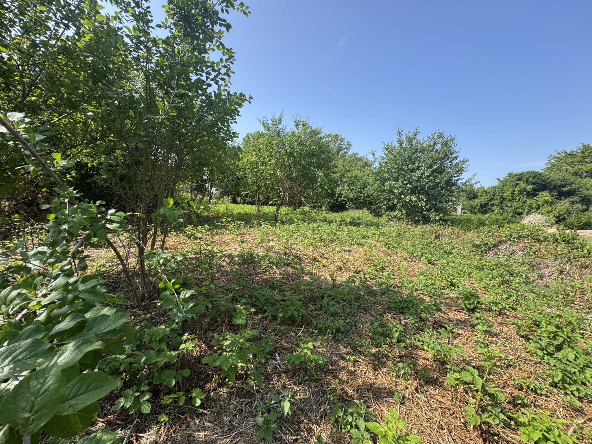 Terrain constructible Talence (Gironde 33)