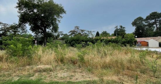Terrain constructible Léognan (Gironde 33)