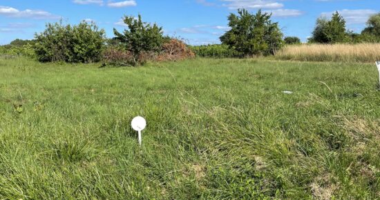 Terrain constructible Saint-morillon (Gironde 33)