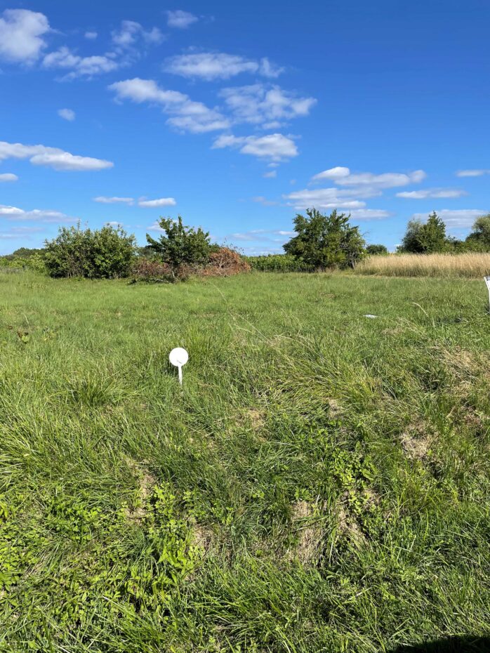 Terrain constructible Saint-morillon (Gironde 33)