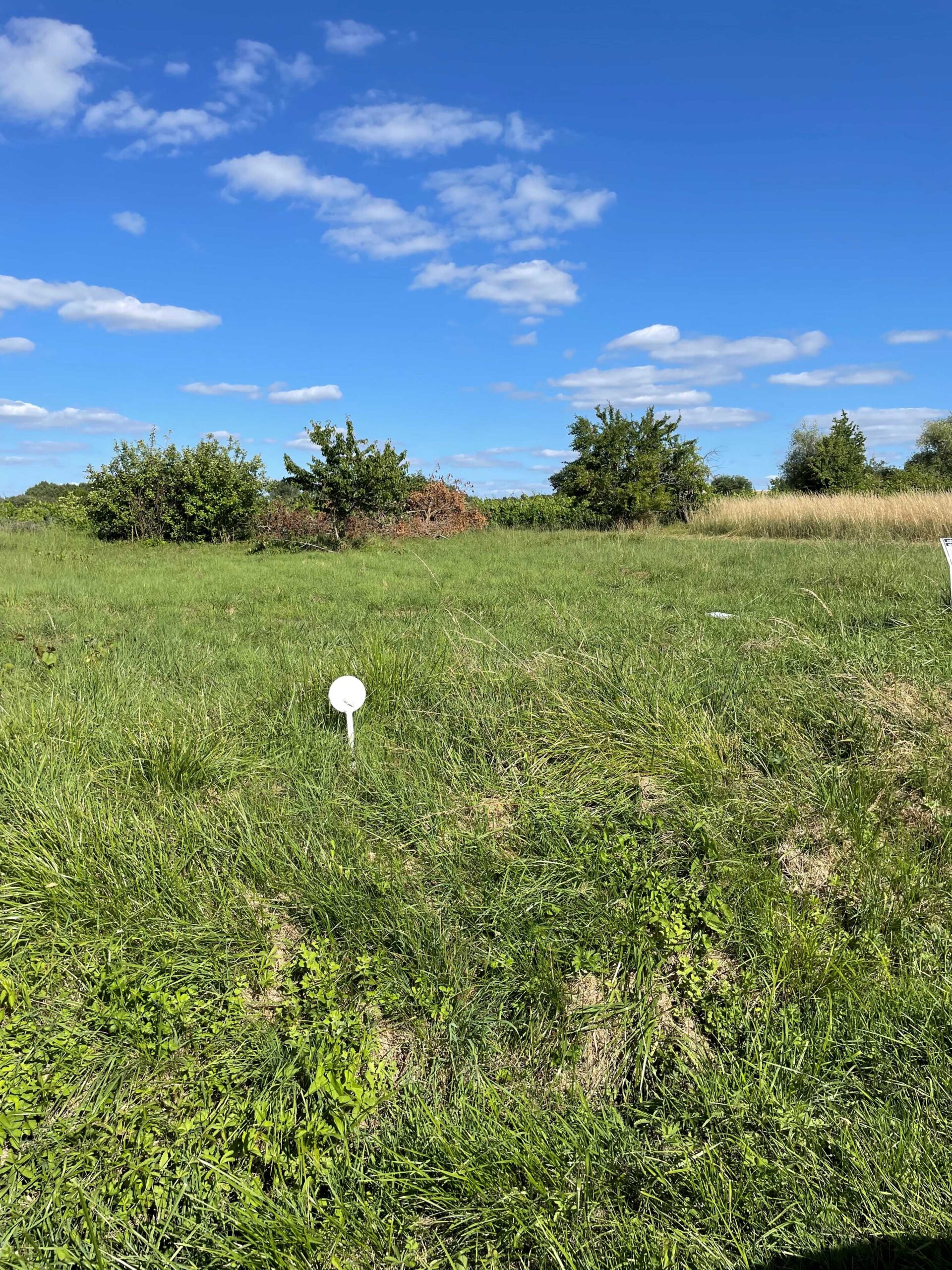 Terrain constructible Saint-morillon (Gironde 33)