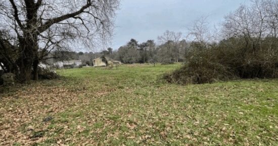 Terrain constructible Martillac (Gironde 33)