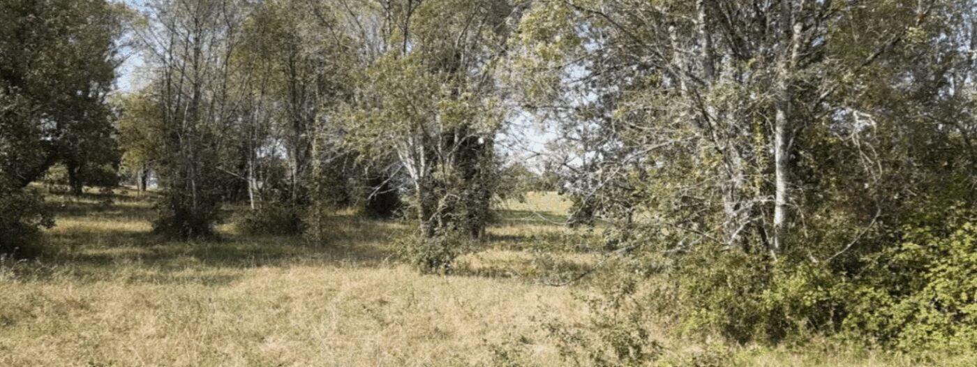 Terrain constructible Beautiran (Gironde 33)