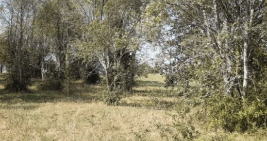 Terrain constructible Beautiran  (Gironde 33)