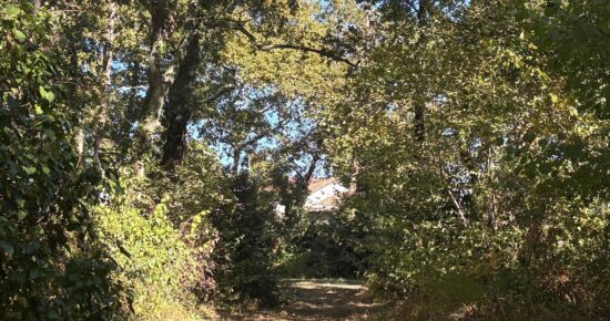 Terrain constructible Gazinet (Gironde 33)