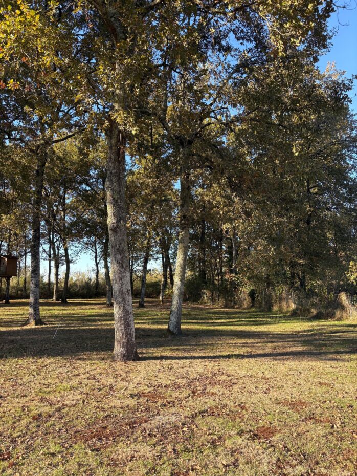 Terrain constructible Gazinet  (Gironde 33)