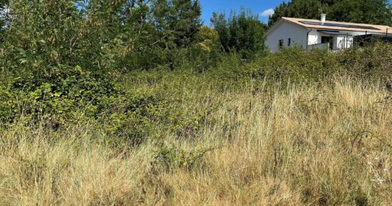 Terrain constructible Saint-selve (Gironde 33)
