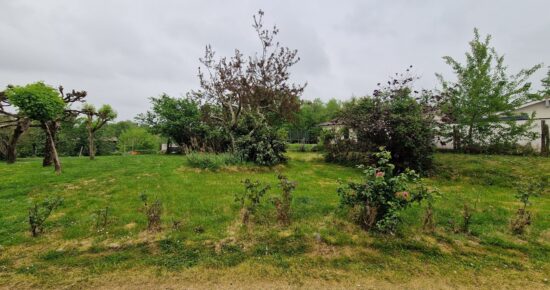 Terrain constructible Saint-morillon (Gironde 33)