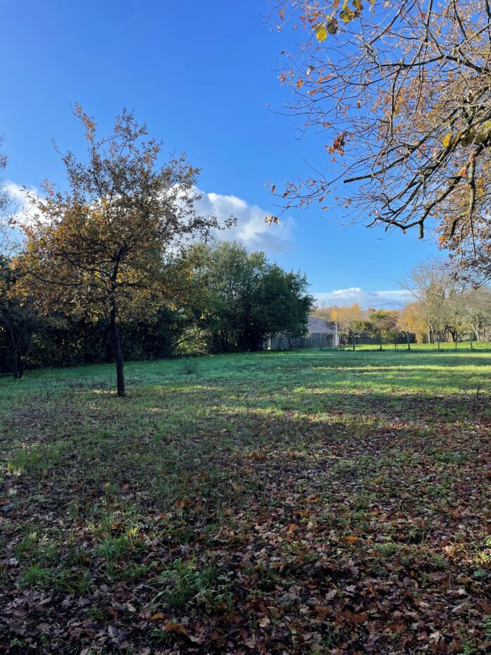 Terrain constructible Saint-sulpice-et-cameyrac (Gironde 33)