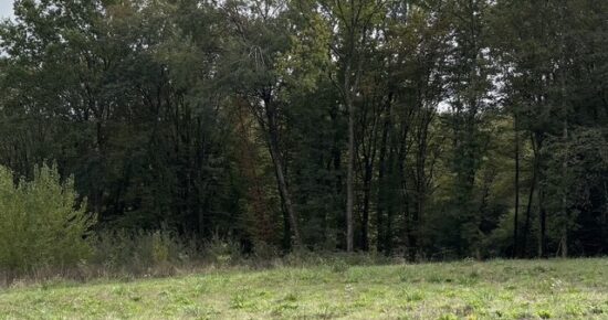 Terrain constructible Bonnetan (Gironde 33)