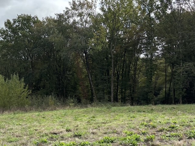 Terrain constructible Bonnetan (Gironde 33)