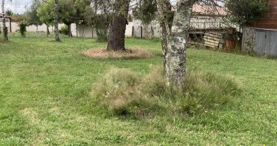 Terrain constructible Saint-loubès (Gironde 33)