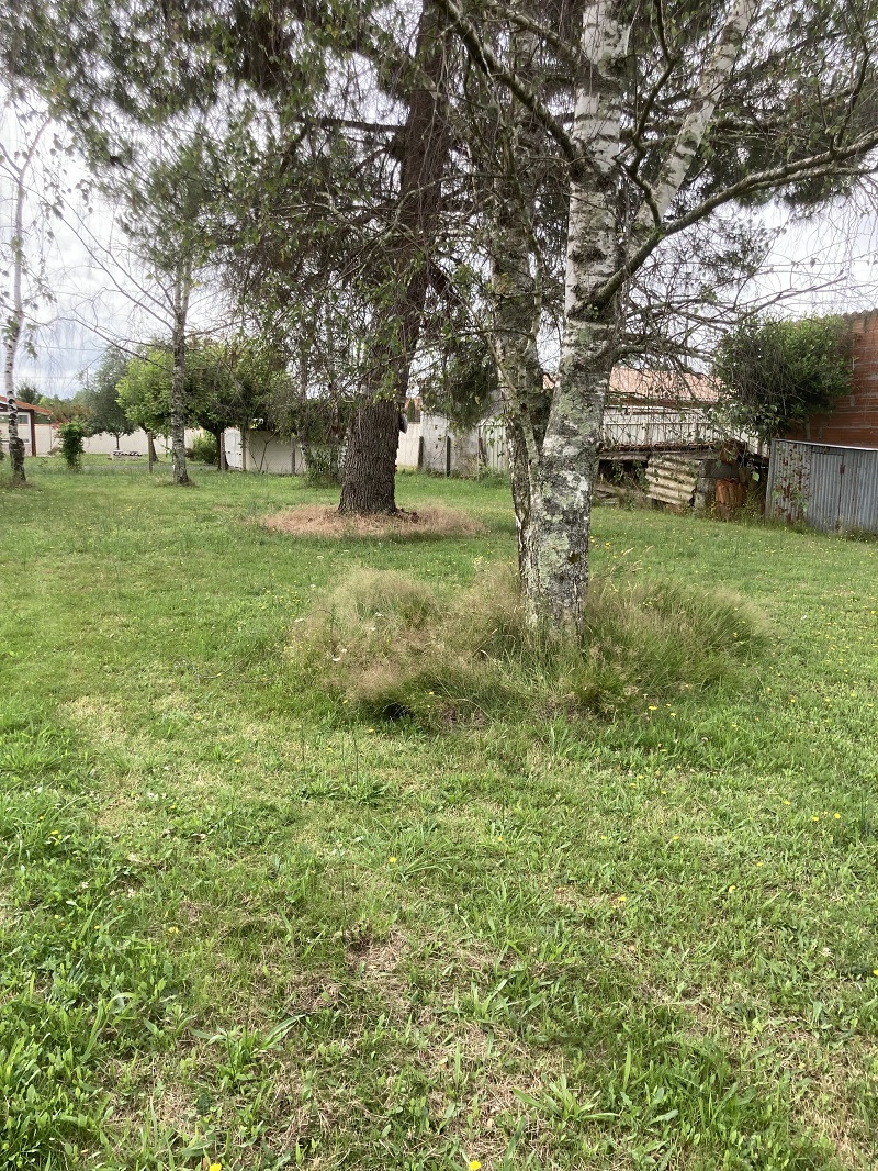 Terrain constructible Saint-loubès (Gironde 33)