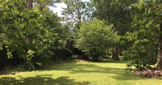Terrain constructible Martillac (Gironde 33)