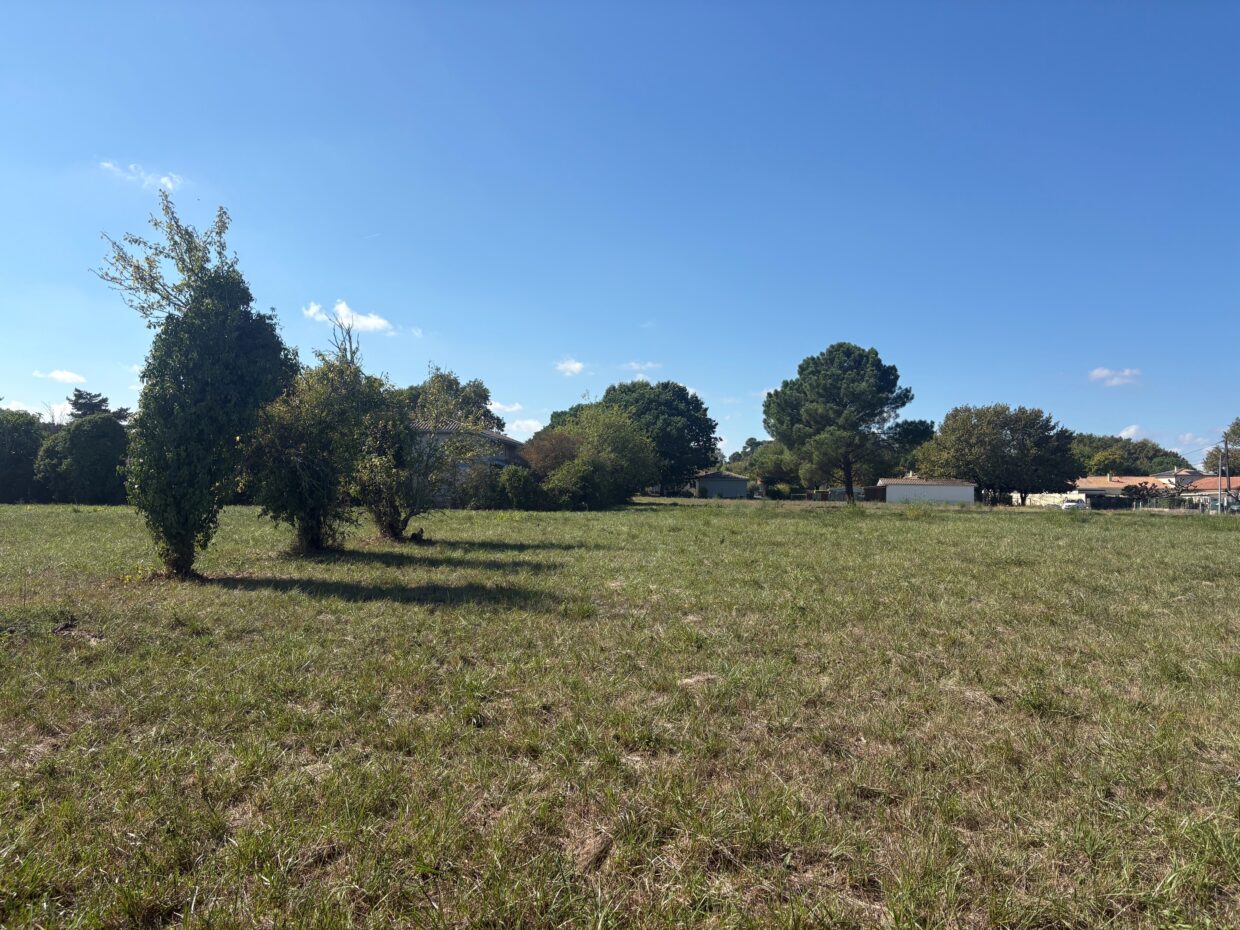 Terrain constructible Martillac  (Gironde 33)