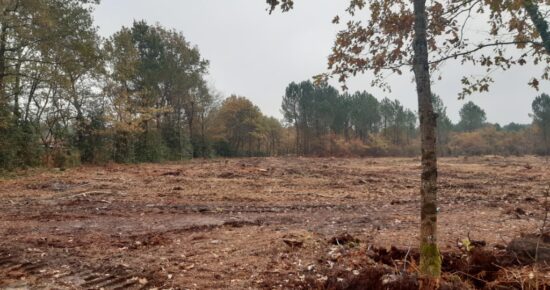 Terrain constructible Beautiran (Gironde 33)