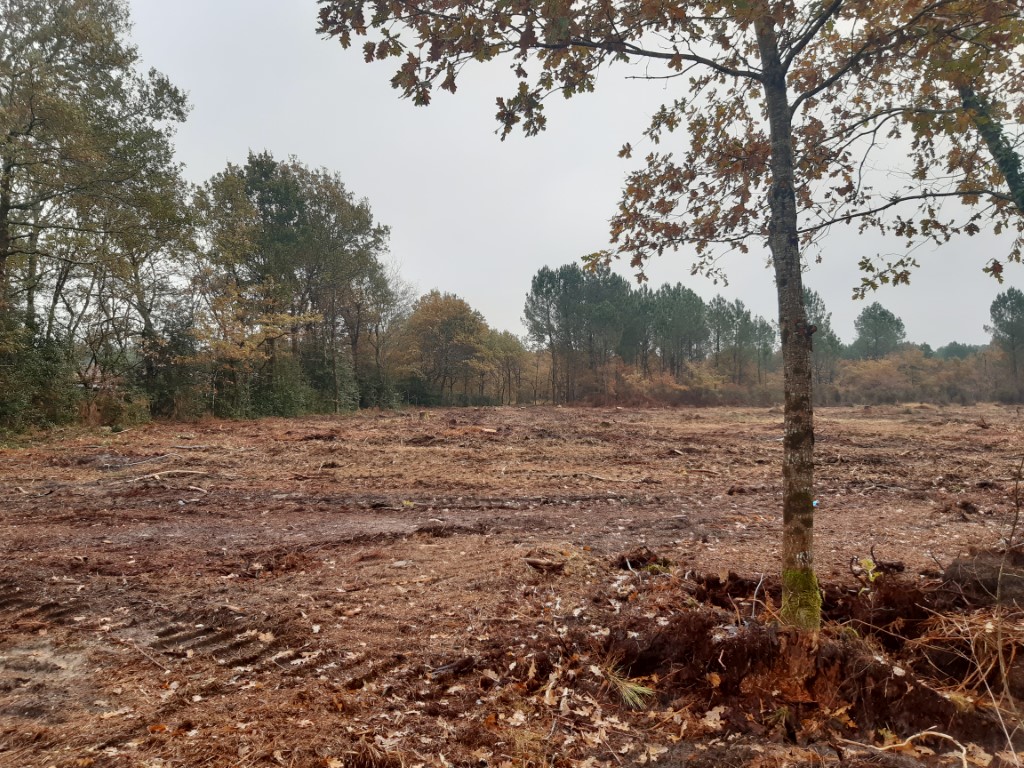Terrain constructible Beautiran (Gironde 33)