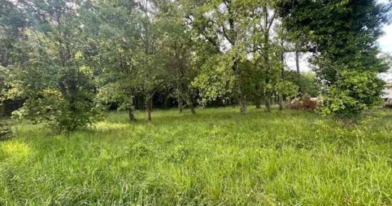 Terrain constructible Salles (Gironde 33)
