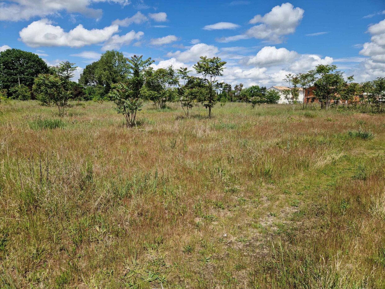 Terrain constructible Martillac (Gironde 33)