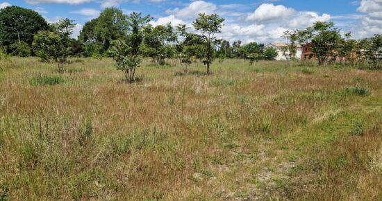 Terrain constructible Martillac (Gironde 33)