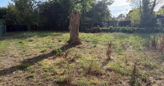 Terrain constructible Mont-de-marsan (Landes 40)