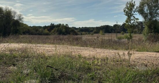 Terrain constructible Baron (Gironde 33)