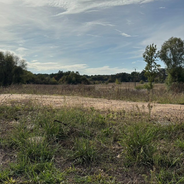 Terrain constructible Baron (Gironde 33)