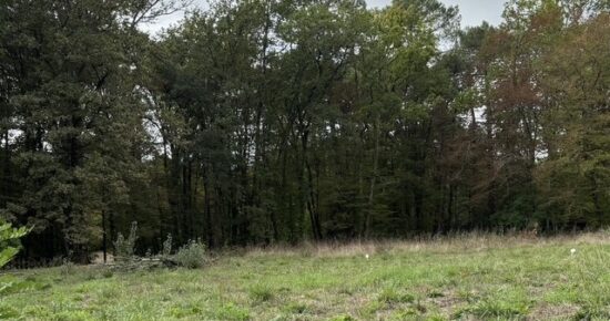 Terrain constructible Bonnetan (Gironde 33)