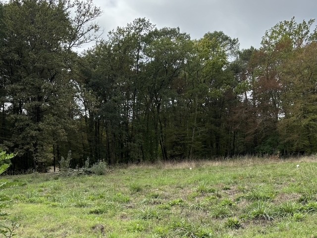 Terrain constructible Bonnetan (Gironde 33)