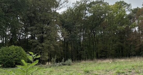 Terrain constructible Bonnetan (Gironde 33)