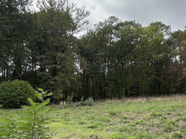 Terrain constructible Bonnetan (Gironde 33)