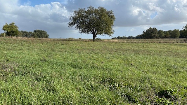 Terrain constructible Daignac (Gironde 33)