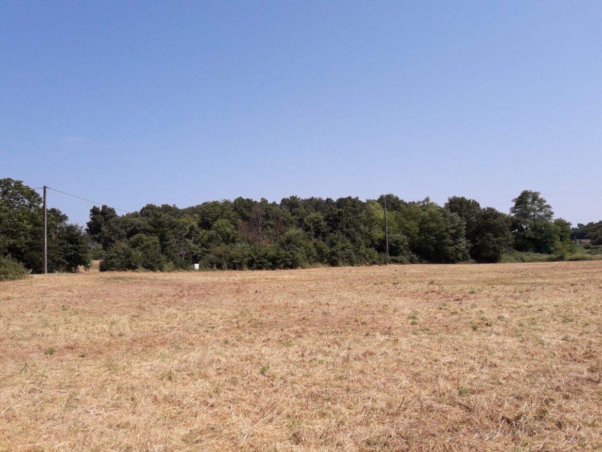 Terrain constructible Léognan (Gironde 33)